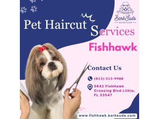 Stylish Pet Haircuts Made Simple