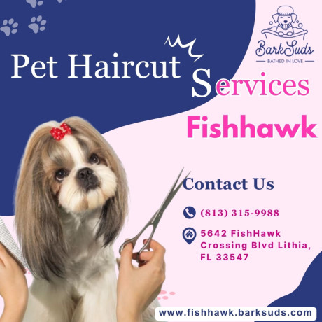 stylish-pet-haircuts-made-simple-big-0