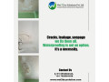 professional-waterproofing-leakage-repair-dampness-treatment-services-in-india-small-3
