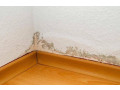 professional-home-waterproofing-leakage-repair-services-across-your-city-small-0