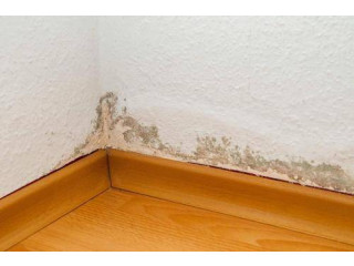 Professional Home Waterproofing & Leakage Repair Services Across Your City