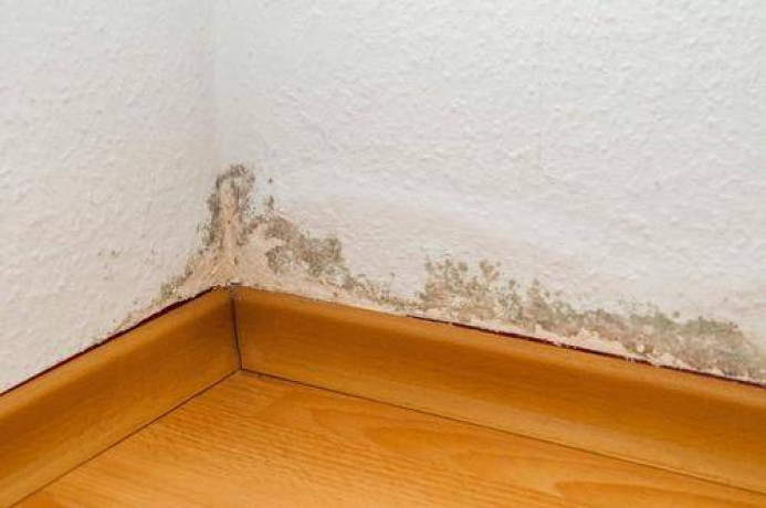 professional-home-waterproofing-leakage-repair-services-across-your-city-big-0