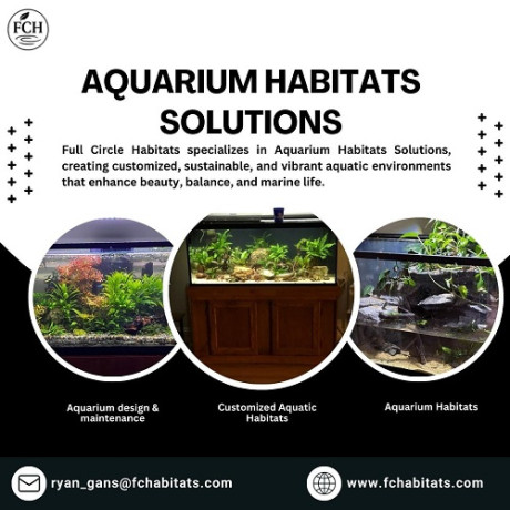 home-aquarium-installation-big-0