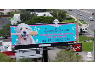 Gentle Grooming Services for Healthy Pets