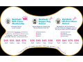 comprehensive-gentle-dog-grooming-services-in-winter-park-small-0