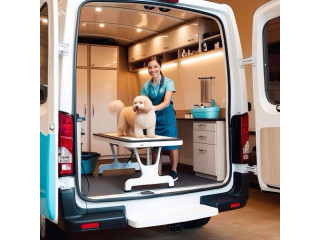 Trusted Dog Grooming Care in South Tampa