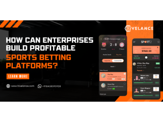 Build Your Fantasy Sports Betting App at Low Cost