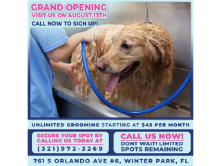 Affordable Grooming in Winter Park That Dog Owners Are Quietly Switching To