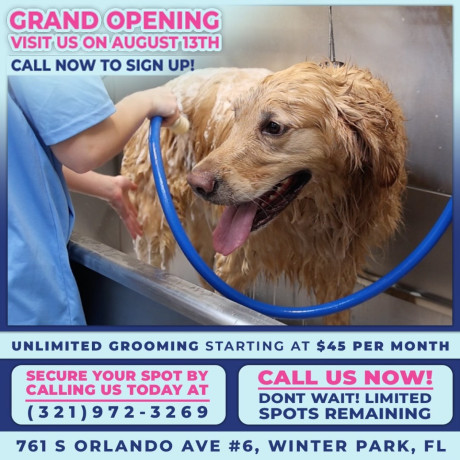 affordable-grooming-in-winter-park-that-dog-owners-are-quietly-switching-to-big-0