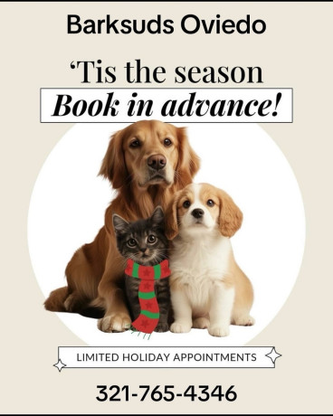 dog-grooming-oviedo-big-0