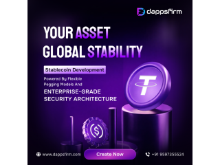 Create Enterprise-Grade Digital Assets at Budget with Stablecoin Development