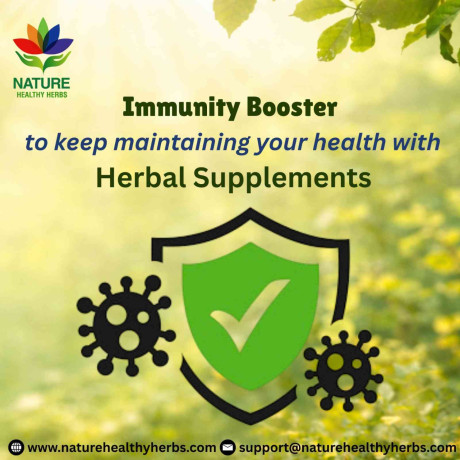 best-immunity-booster-to-boost-your-health-with-herbal-supplements-big-0