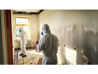 Mauldin 24 Hour Emergency Repair | Water, Fire & Mold Experts