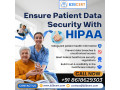hipaa-consultants-in-los-angeles-small-0