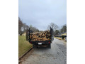 tree-removal-in-atlanta-ga-advance-grading-tree-service-small-1