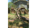 tree-removal-in-atlanta-ga-advance-grading-tree-service-small-0