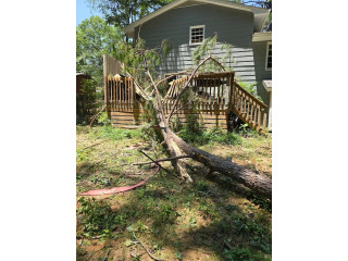 Tree removal in Atlanta GA | Advance Grading & Tree Service