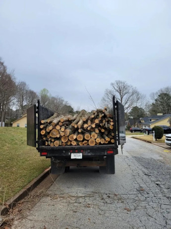 tree-removal-in-atlanta-ga-advance-grading-tree-service-big-1