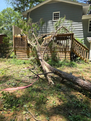 tree-removal-in-atlanta-ga-advance-grading-tree-service-big-0