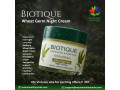 biotique-wheatgerm-night-cream-best-cream-face-moisturizer-small-0