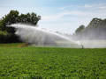 irrigation-design-consultants-florida-for-efficient-site-development-call-now-small-2