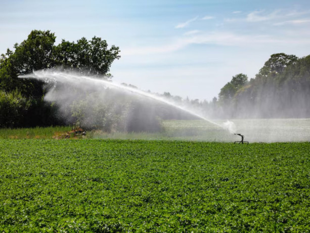 irrigation-design-consultants-florida-for-efficient-site-development-call-now-big-2