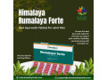himalaya-rumalaya-forte-best-ayurvedic-tablets-for-joint-pain-small-0