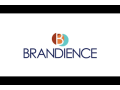 brandience-small-0