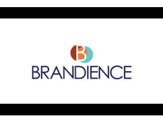 Brandience