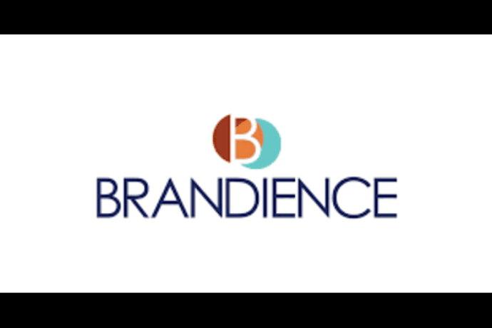 brandience-big-0