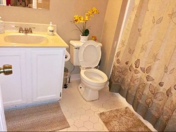 furnished-townhouse-big-2