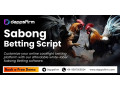 enter-the-online-cockfighting-market-with-cost-effective-sabong-software-small-0
