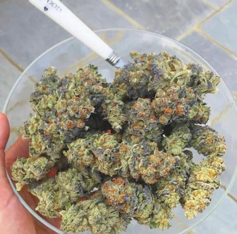 buy-weed-online-australia-mackay-big-1