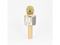 wireless-karaoke-microphone-small-0