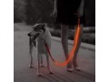 led-dog-leash-small-0