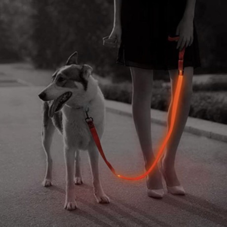 led-dog-leash-big-0