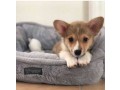 cloud-reversible-bed-small-0