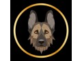 buy-antis-inu-small-0
