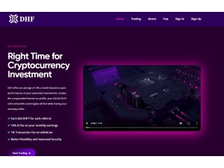 Decentralized Hedge Fund (DHF): An Honest Review from an Investor