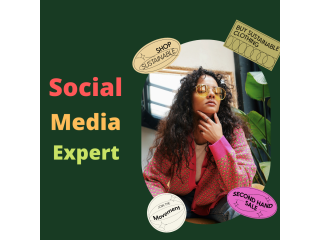 I will be your expert social media manager for instagram twitter and linkedin