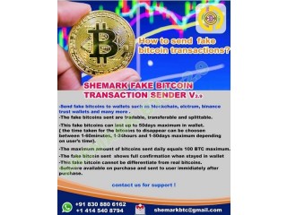 HOW TO SEND FLASH BITCOINS