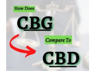 How Does CBG Compare to CBD – 5 Astonishing FACTS