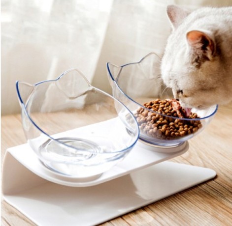 take-care-of-your-cat-with-non-slip-cat-bowls-big-0