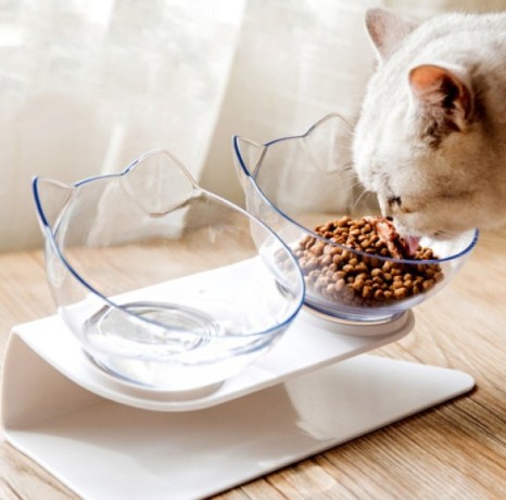cat-bowls-with-raised-stand-big-0