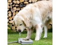 automatic-outdoor-dog-water-fountain-small-0