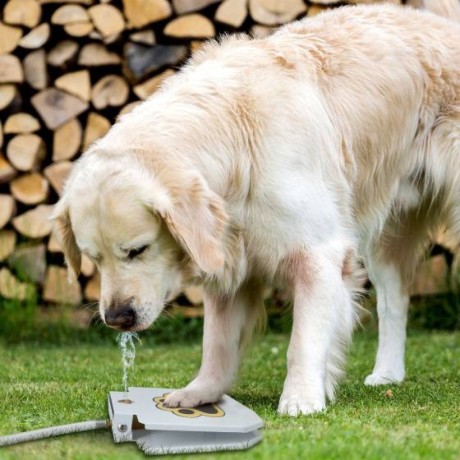 automatic-outdoor-dog-water-fountain-big-0