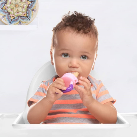 fruit-feeder-for-babies-big-0