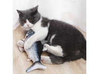 Dancing Fish Catnip Kicker Toy !