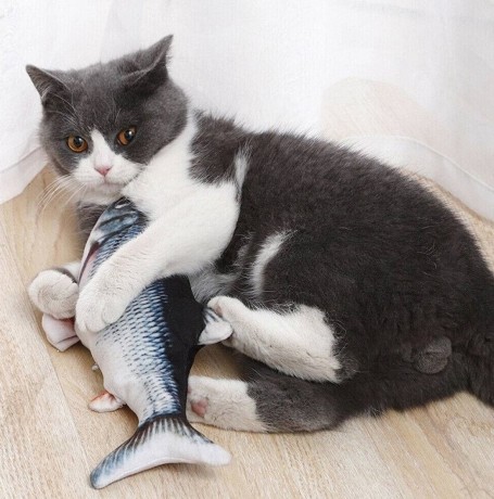 dancing-fish-catnip-kicker-toy-big-0