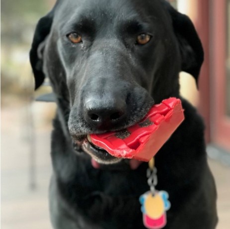 cherry-pie-dog-chew-toy-big-0